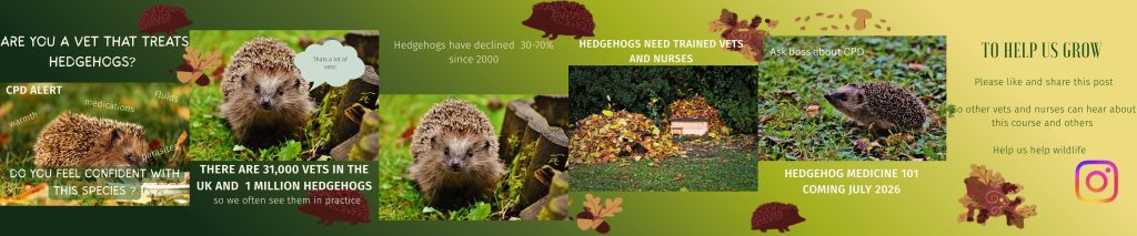 hedgehog medicine for veterinary surgeons and nurses. Wildlife CPD. 