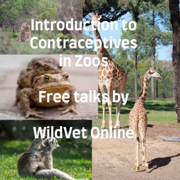 Introduction to contraceptives in zoos for keepers