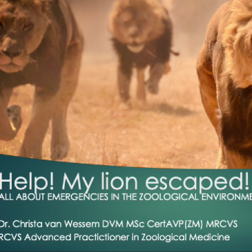 Emergencies in a ZOO environment